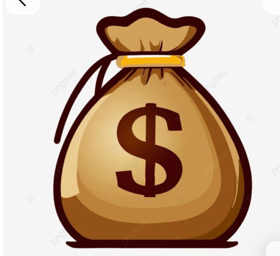 Money bag piñata