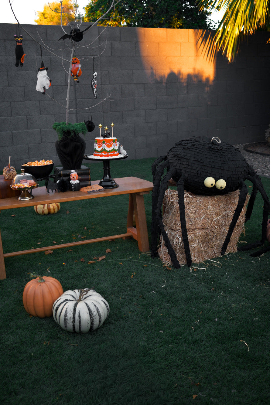 Silly spider piñata