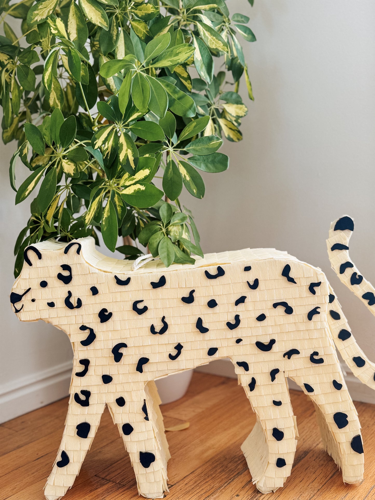 Jaguar piñata