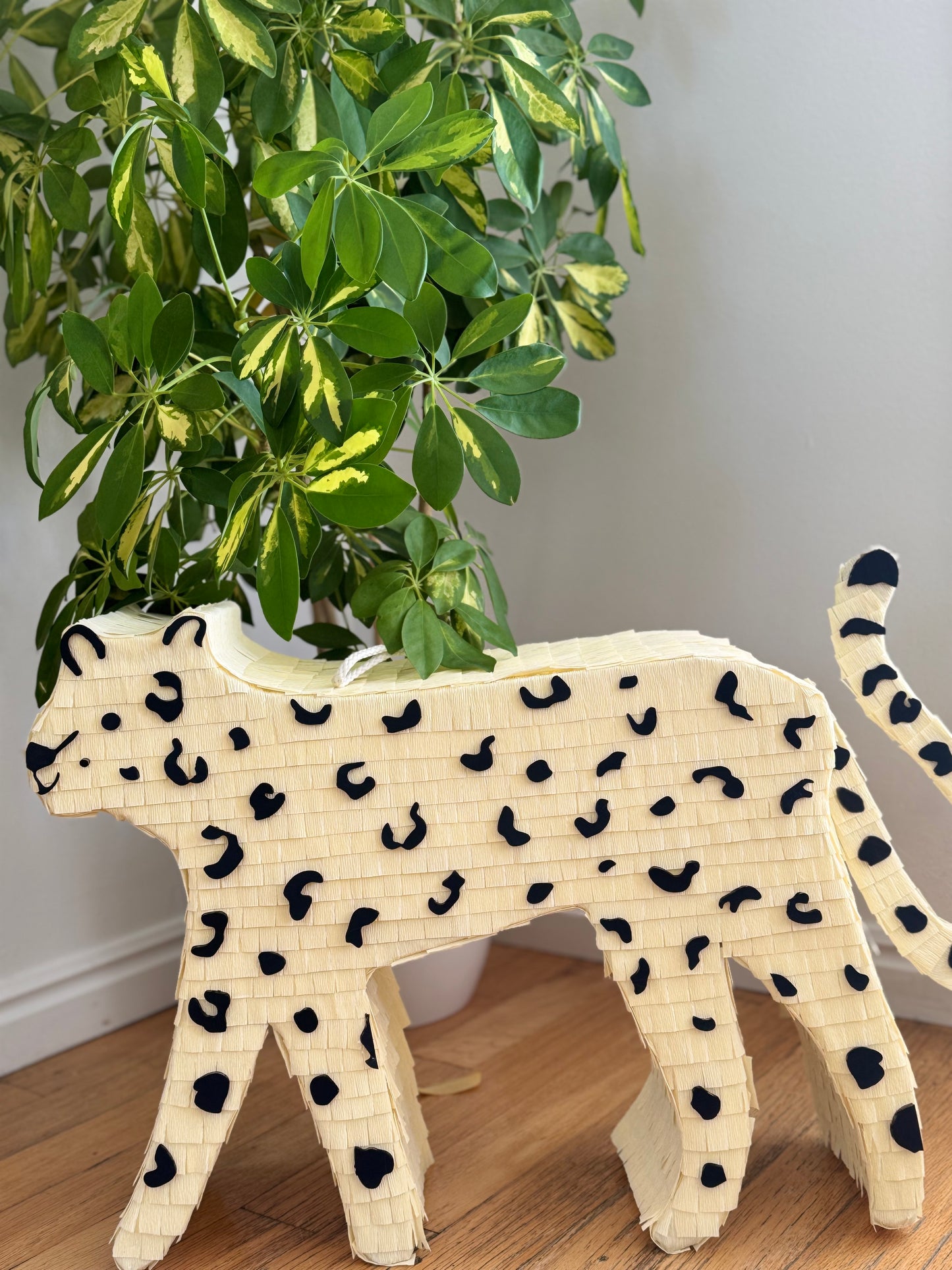 Jaguar piñata