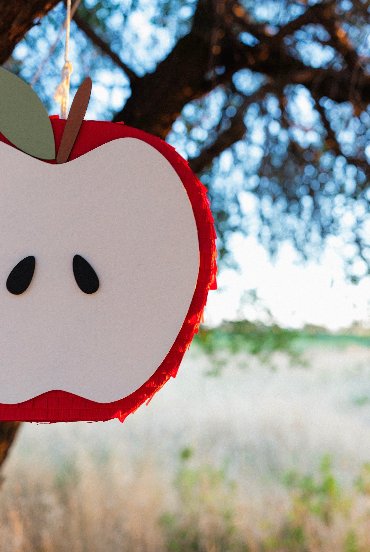 Apple piñata