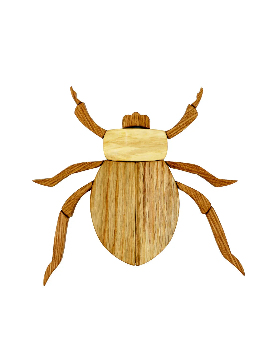 Imagine a Bug Natural Wood Set
